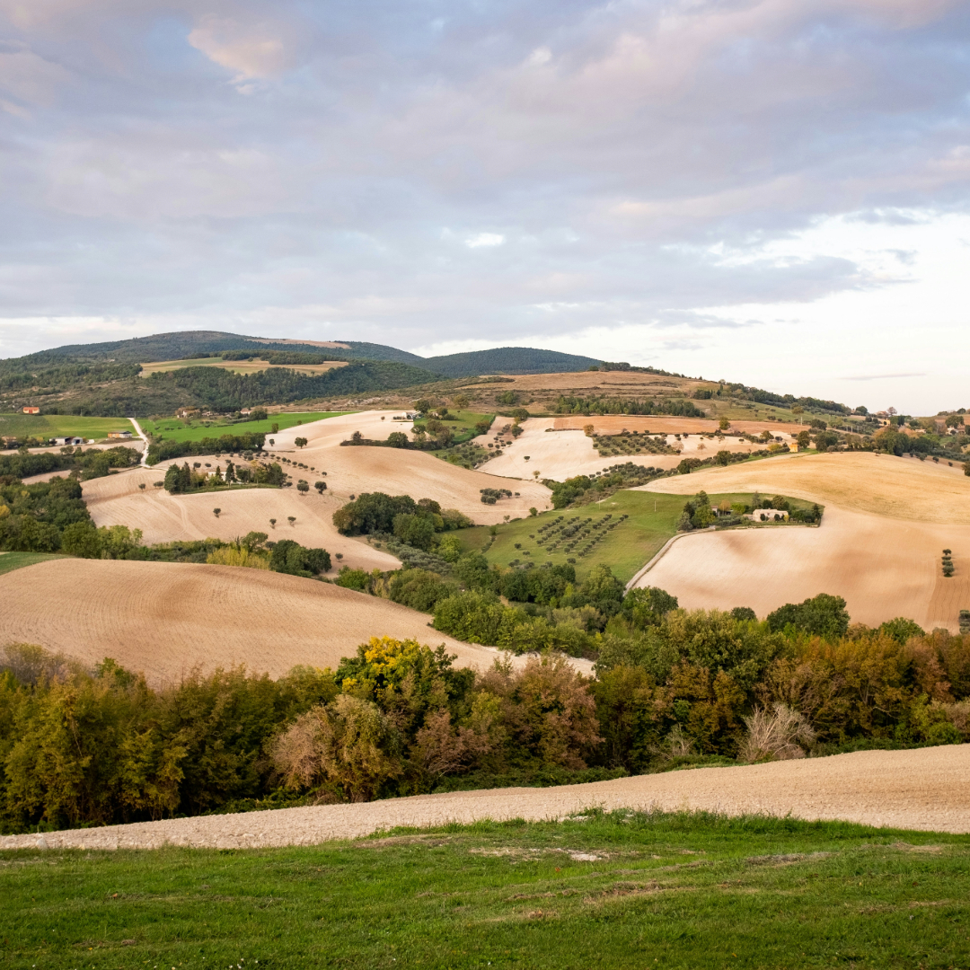 Marche