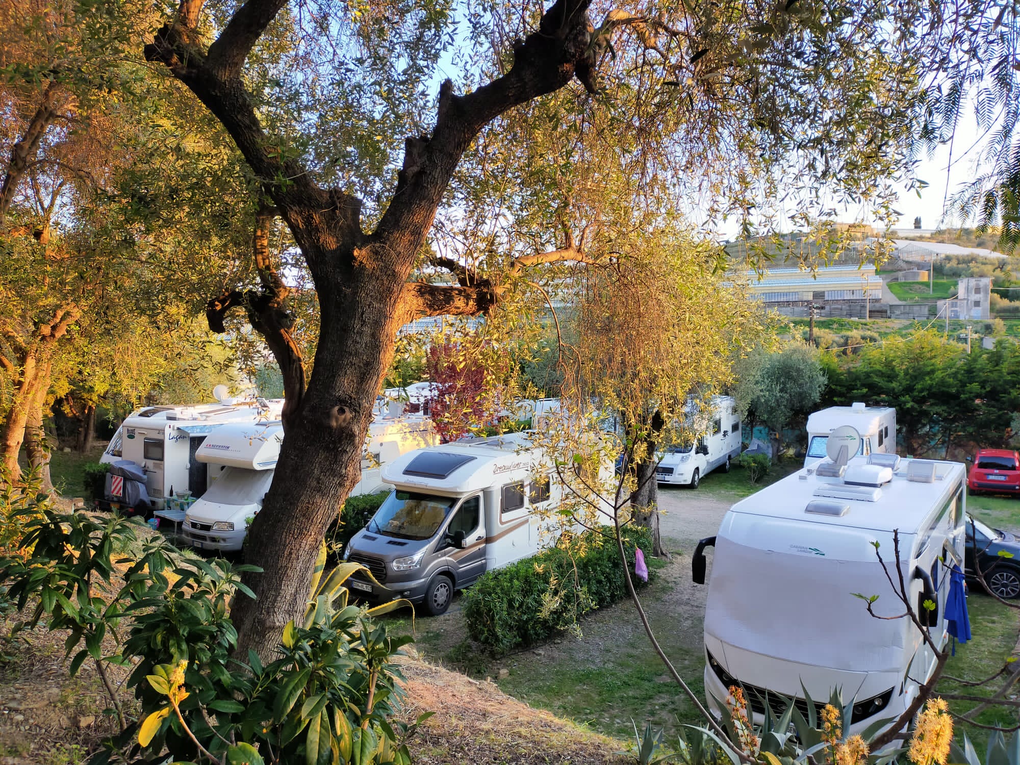 Piazzole Camper, Roulotte, Van