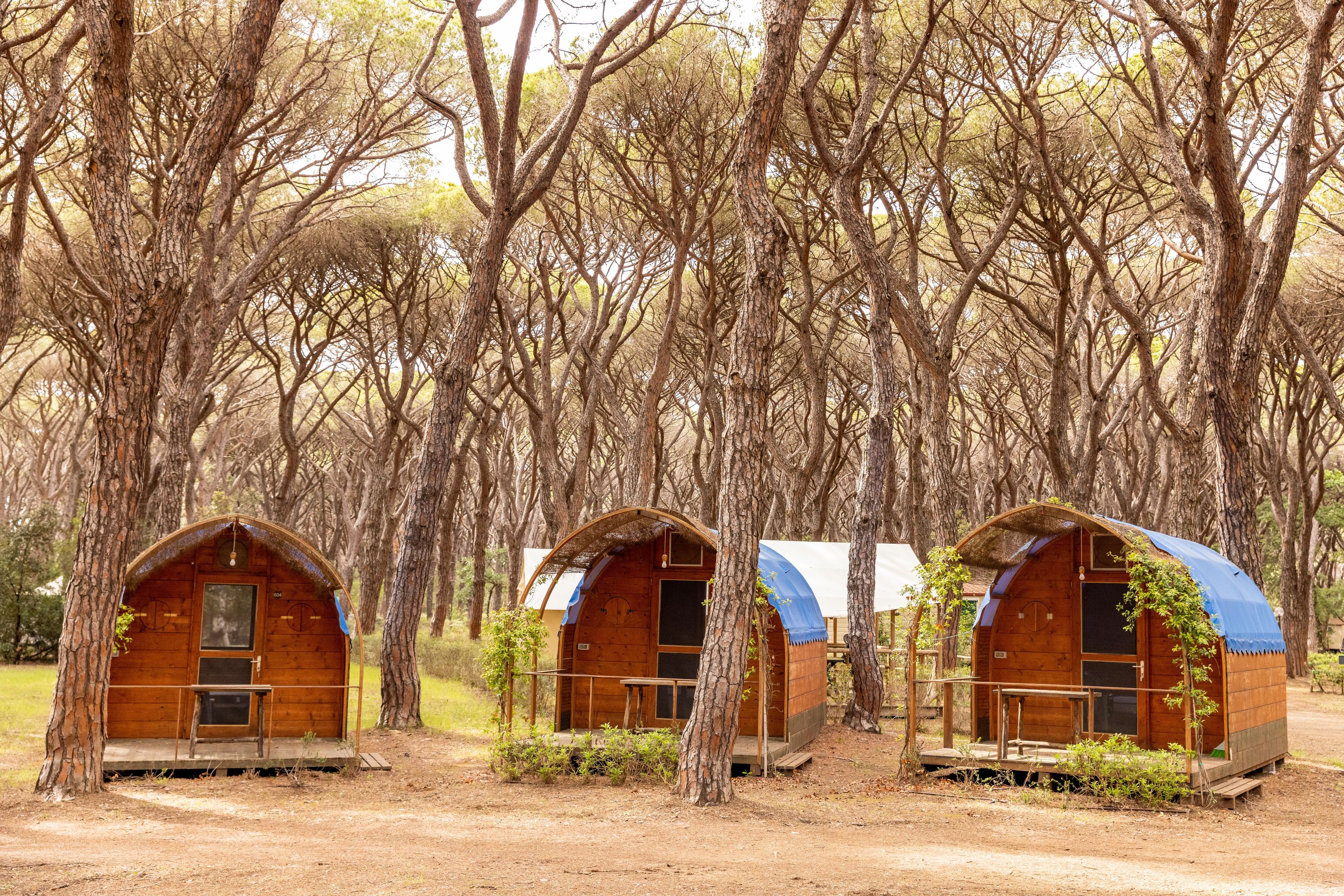 Woody Tent