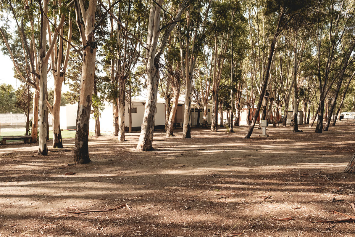 Piazzola Fronte Mare