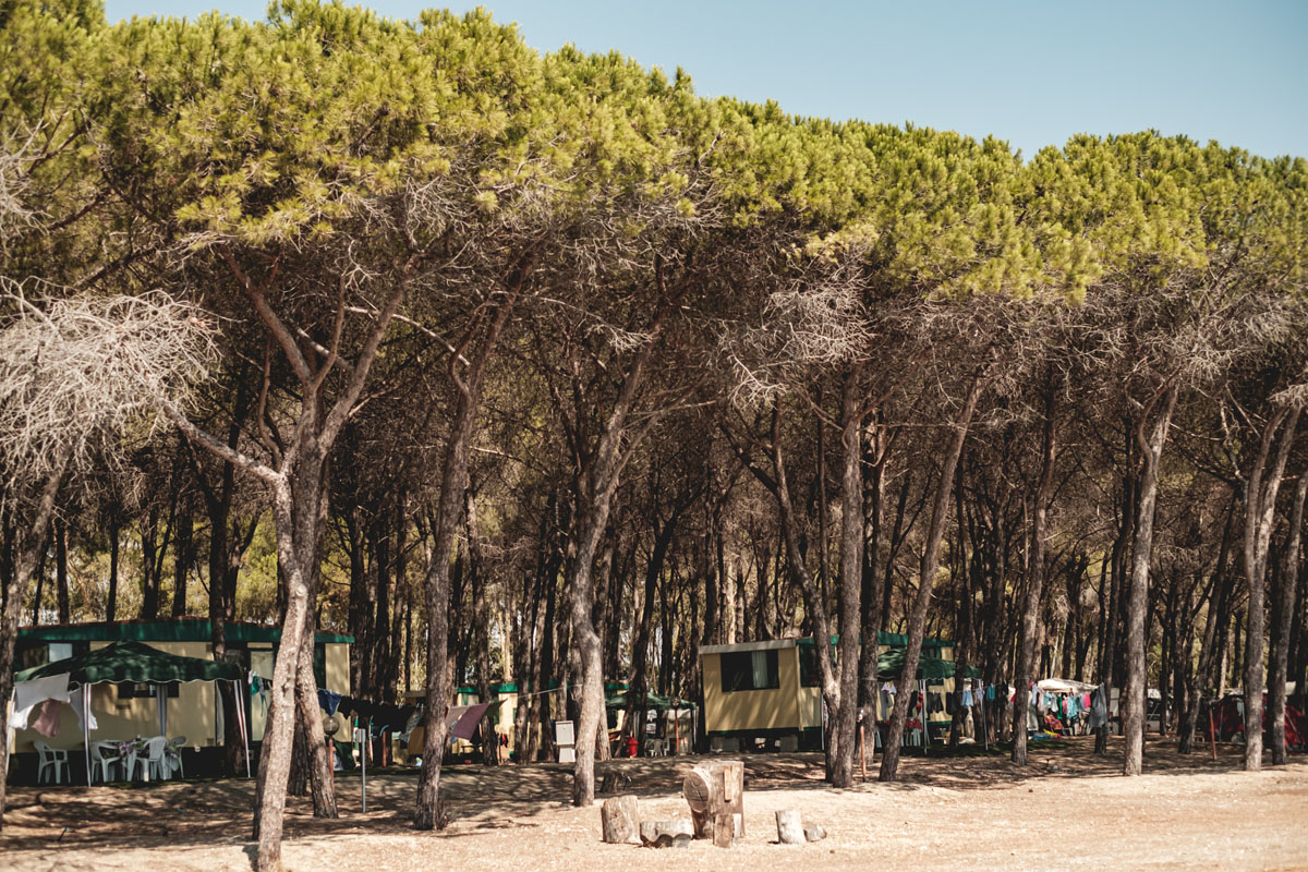 Campeggio Cammello Grigio