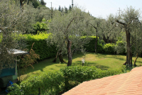 Piazzola Piccola