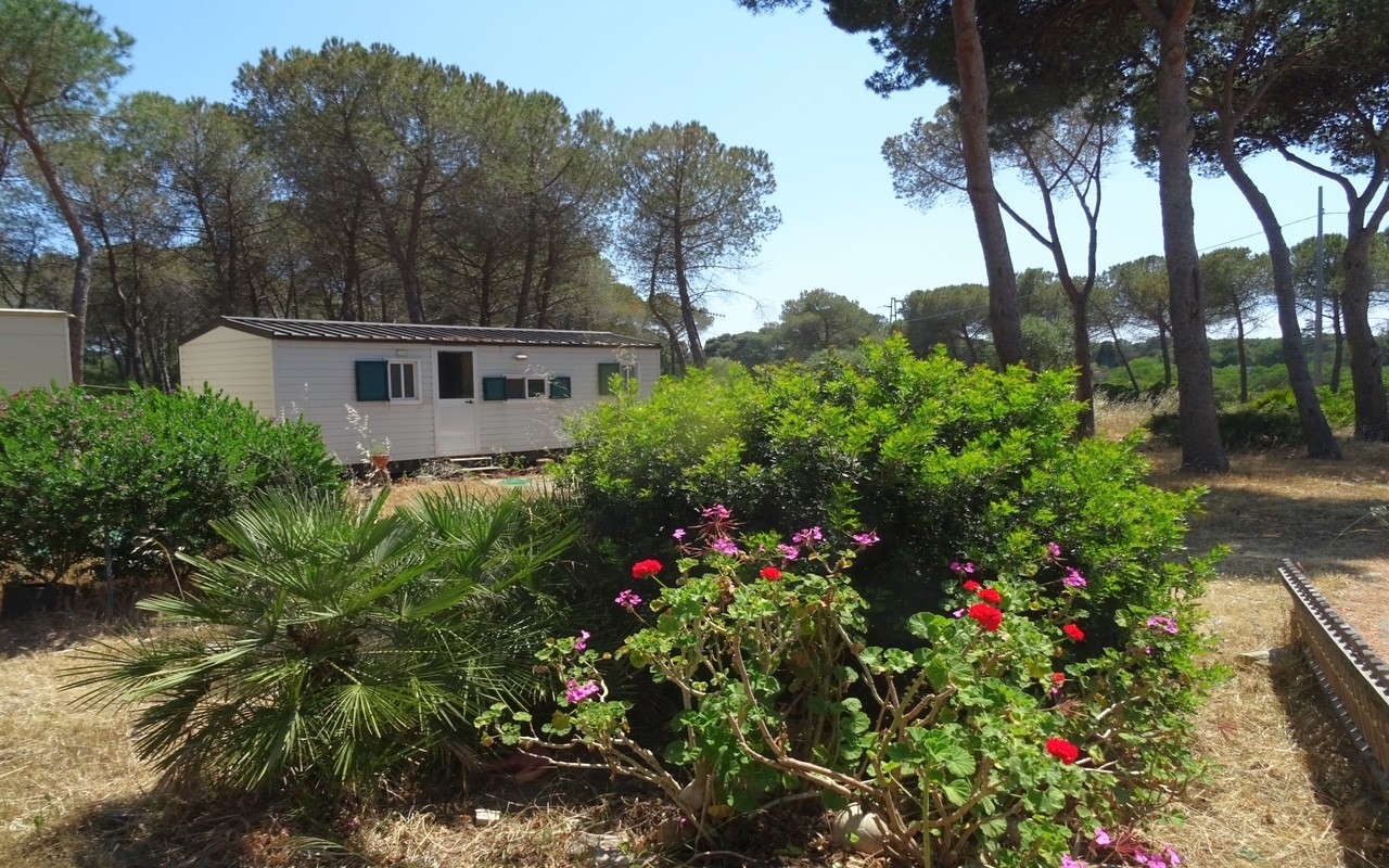 Mobilhome