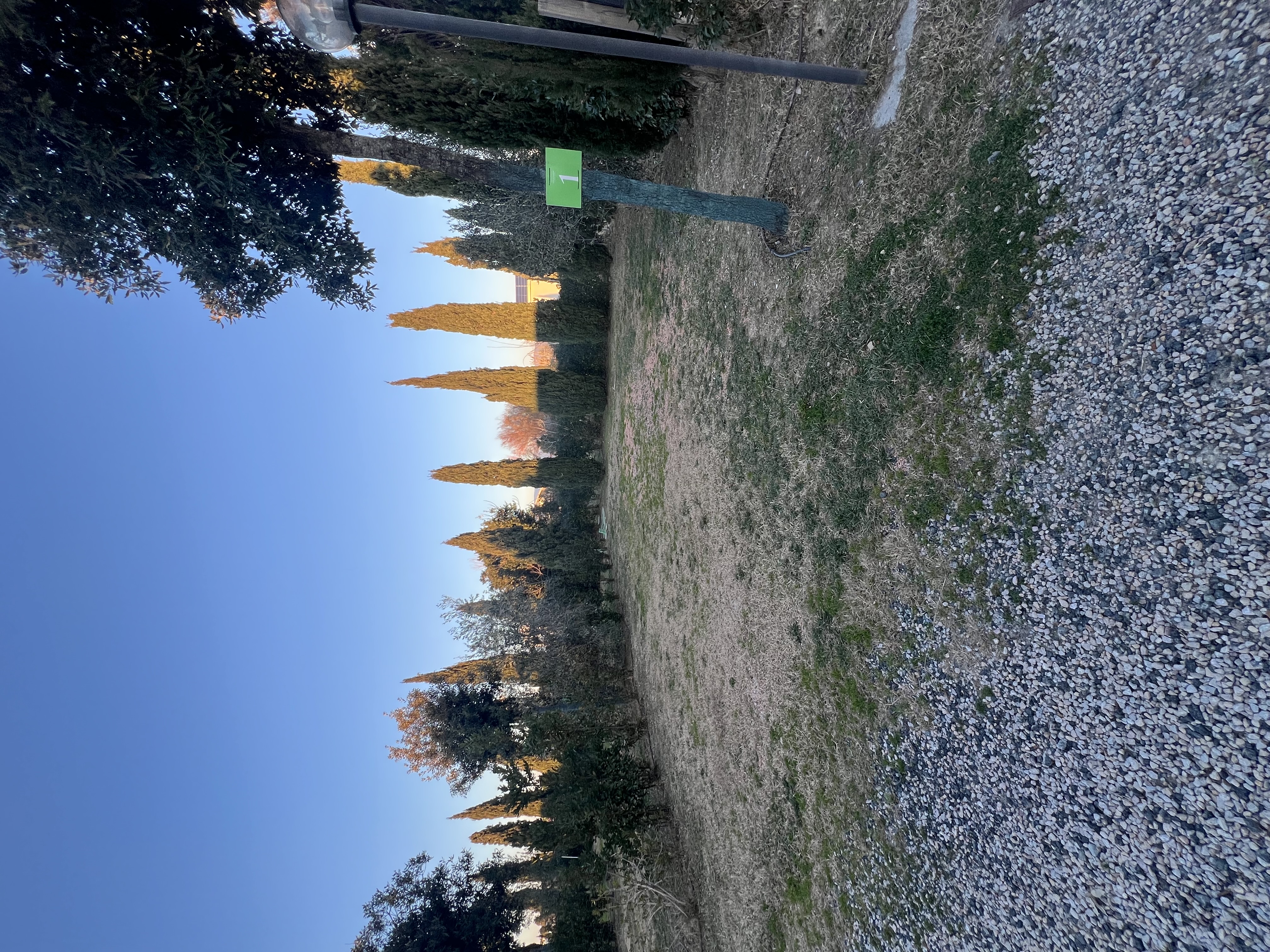 Piazzola